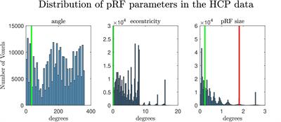 Investigating the Reliability of Population Receptive Field Size Estimates Using fMRI